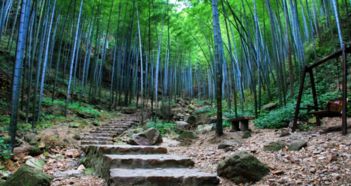 渭南天气预报15天查询（陕西天气预报15天查询最新消息）