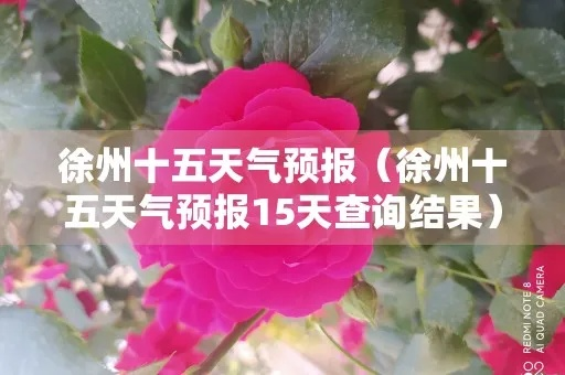 金牛国际j6棋牌绿色版V6.64.146.178ios版本-推荐