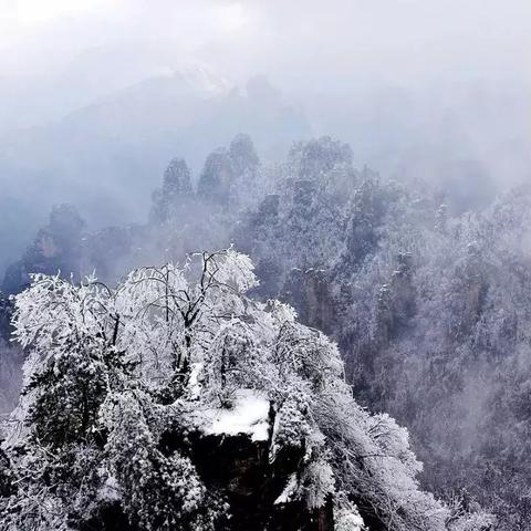 张家界天气预报15天（张家界天气预报15天2345）